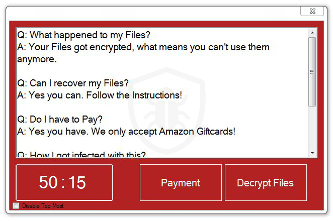 EbolaRnsmwr Ransomware