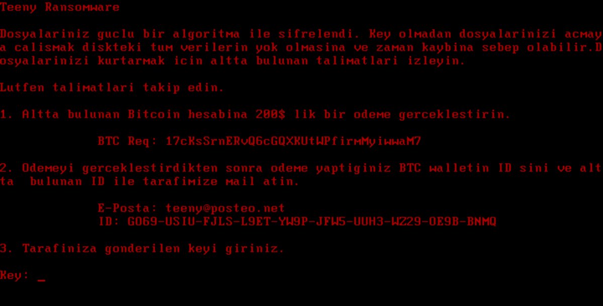 Teeny Ransomware