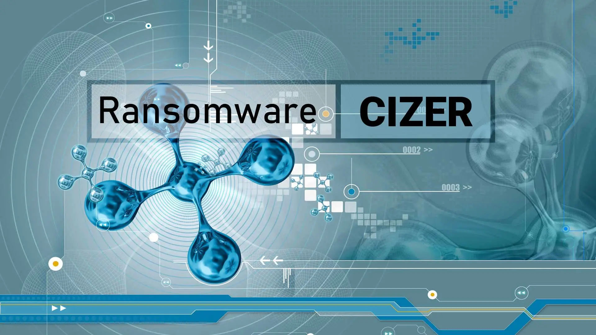 Cizer Ransomware